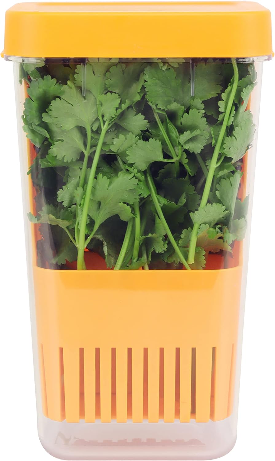 LUVCOSY Fresh Herb Keeper for Refrigerator, Clear BPAFree