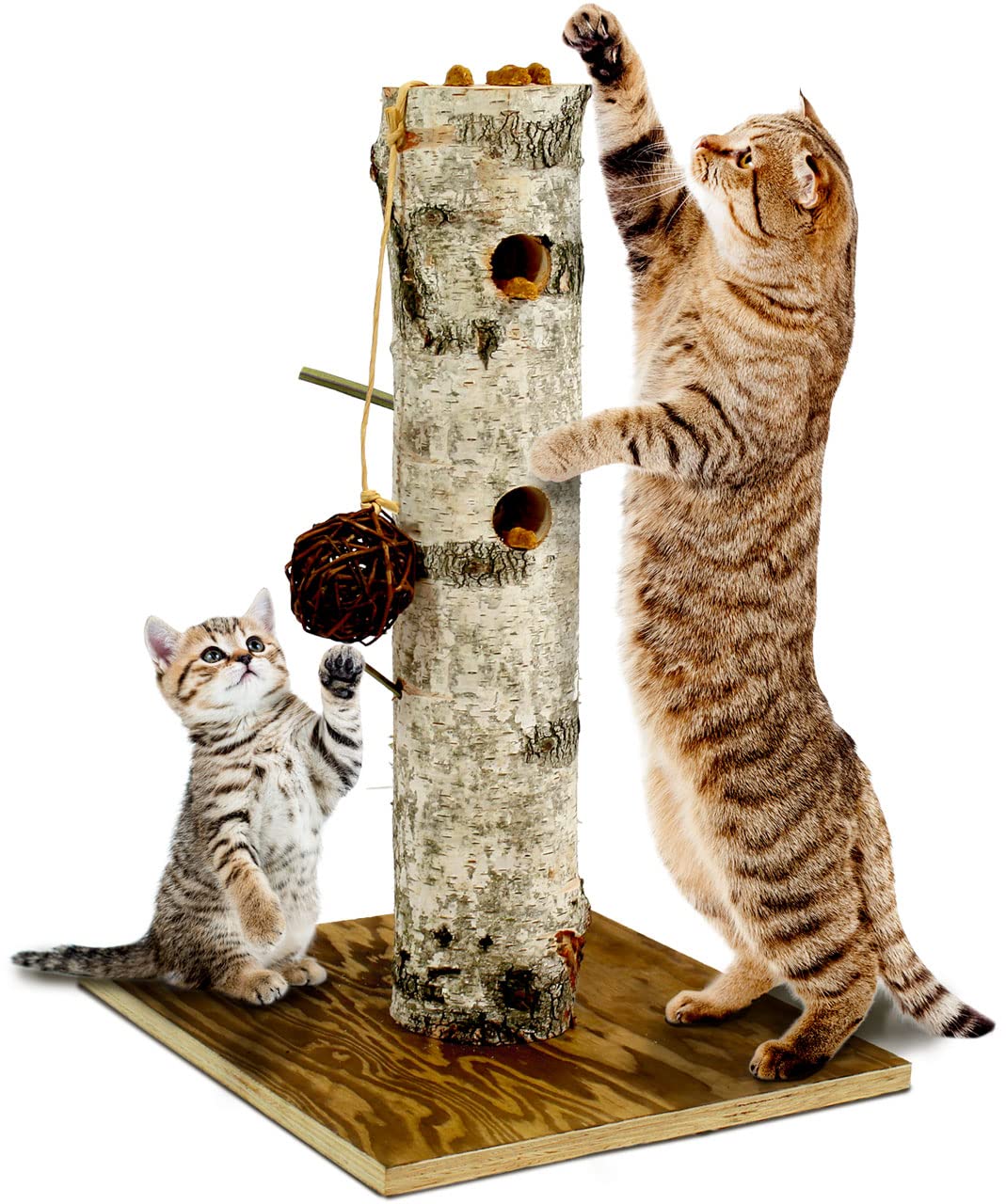 JR FARM Cat 'BtI' Nature Active-Tree