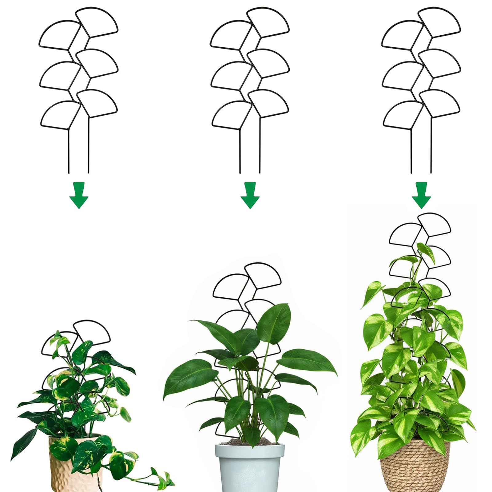 Trlzey Leaf Shape Trellis