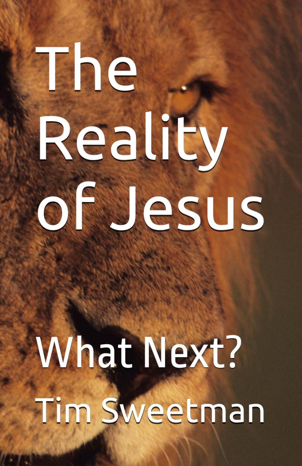 The Reality of Jesus: What Next?