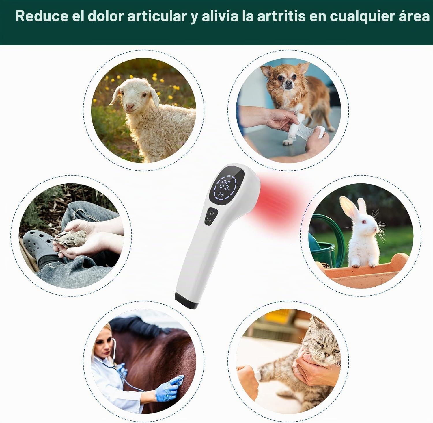 iKeener Dispositivo de terapia para mascotas/veterinarios, (4 x 808 nm), terapia láser fría, alivia el dolor muscular y articular de animales, dispositivo de terapia portátil con luz roja para