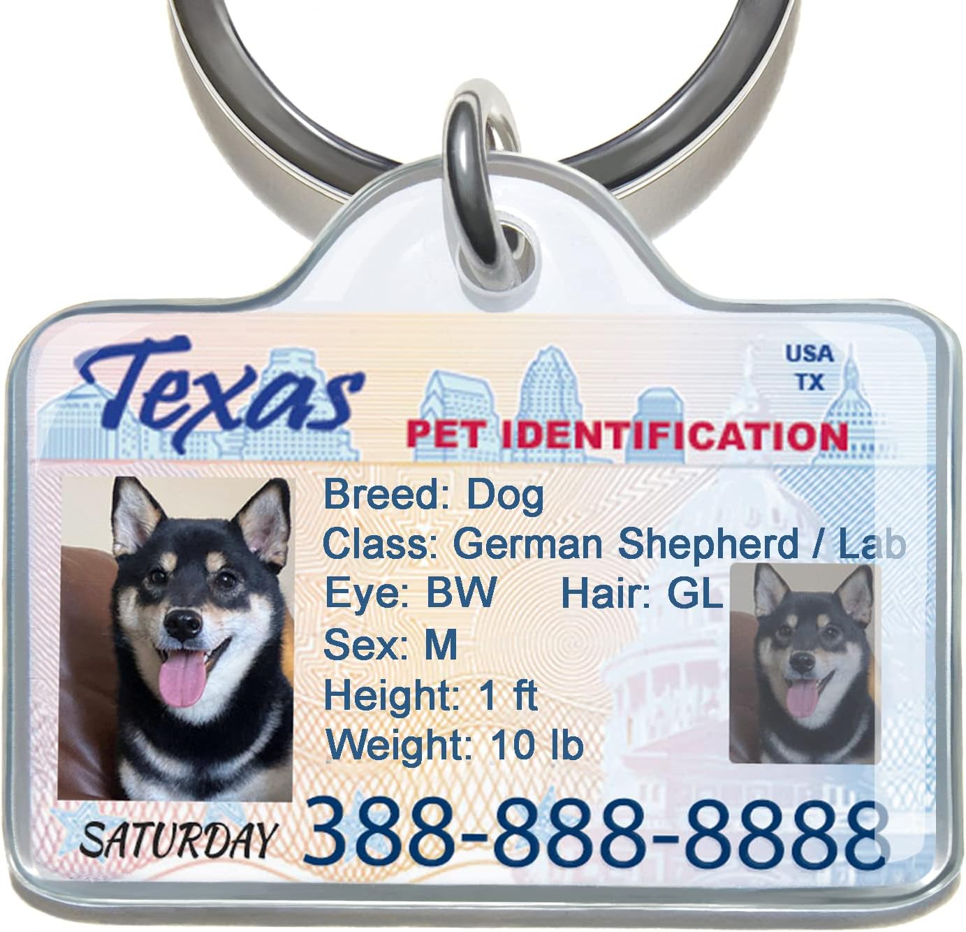 Pet ID Card Pet Identification Card Dog ID Cat ID Emergency Pet Card Secure ID with