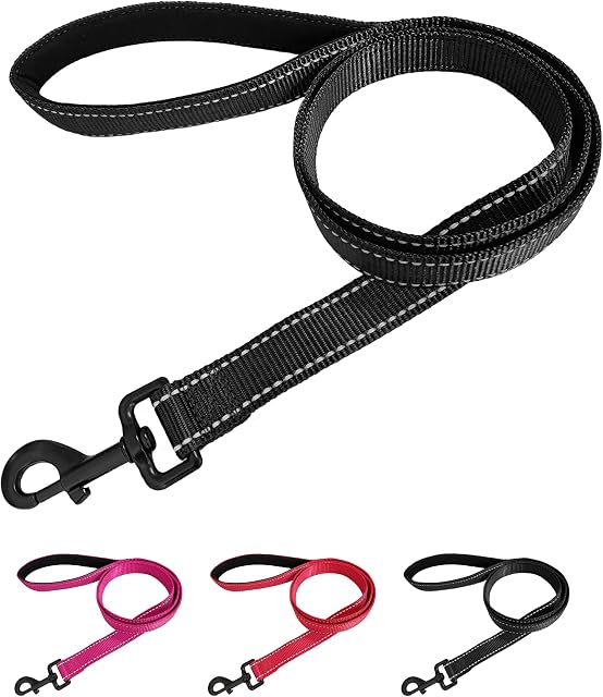 Beshine Padded Handle Dog Lead, 1.2m x 2cm Durable Reflective Nylon Dog Leash for Small, Medium Dogs, Black
