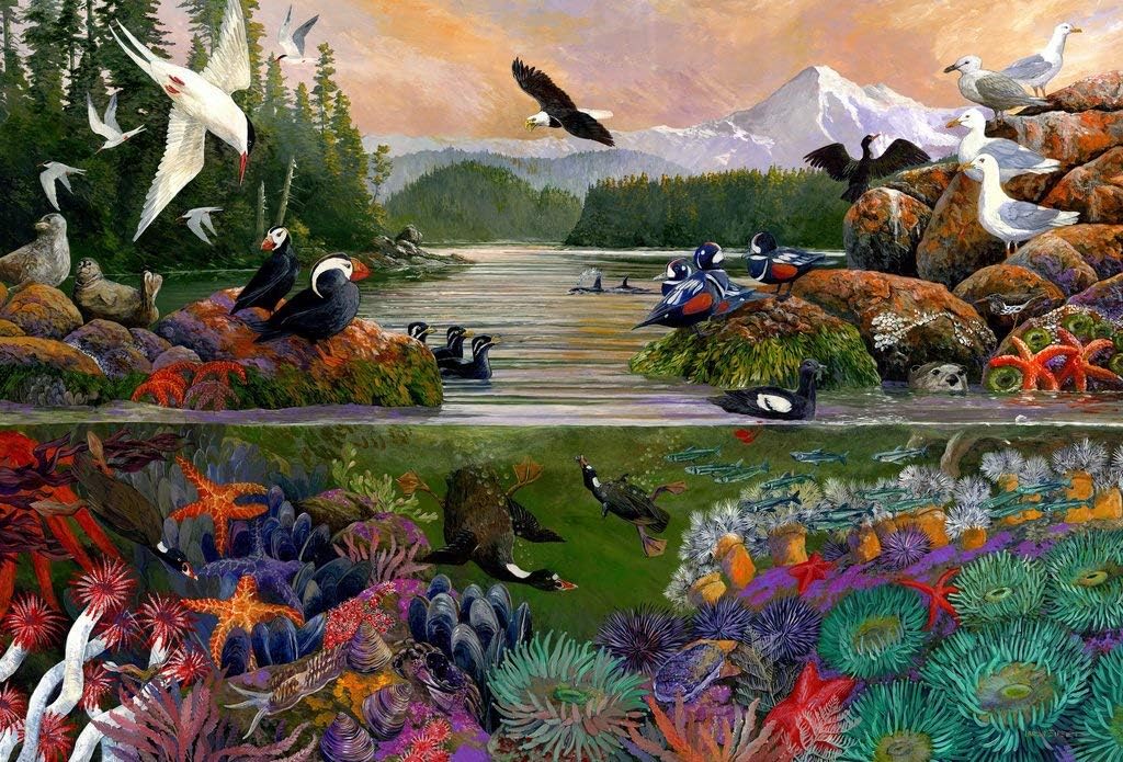 Wooden Jigsaw Puzzle - Two Sides of The Sea by Larry Eifert - 501 Pieces. Made in USA by Nautilus Puzzles