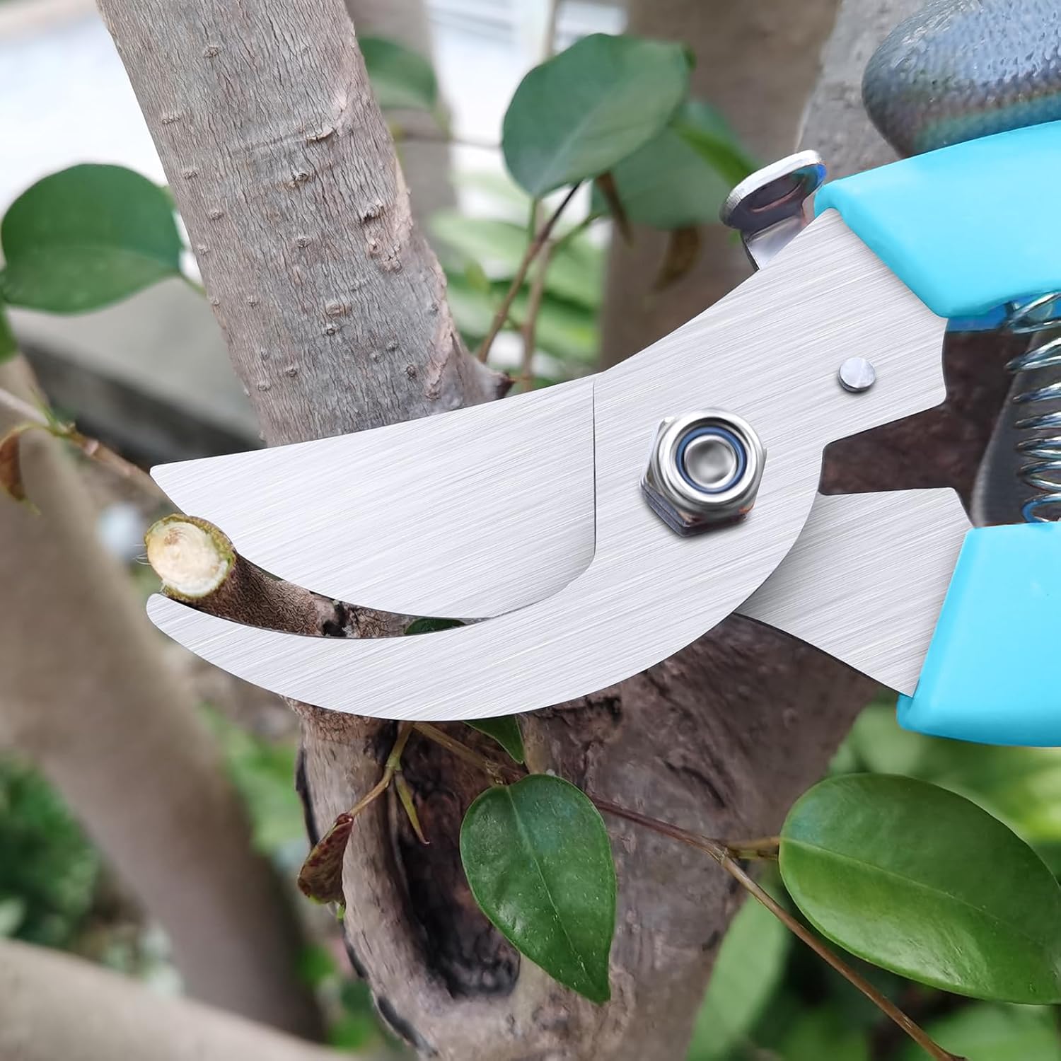 Flower Scissors, Flower Shears High Strength Steel Sharp, Ergonomic Handle Pruning Shears for Gardening, Lightweight Garden Scissors, 1-inch Cut Capacity Rust Resistant for Plants Bonsai-Blue - Image 2