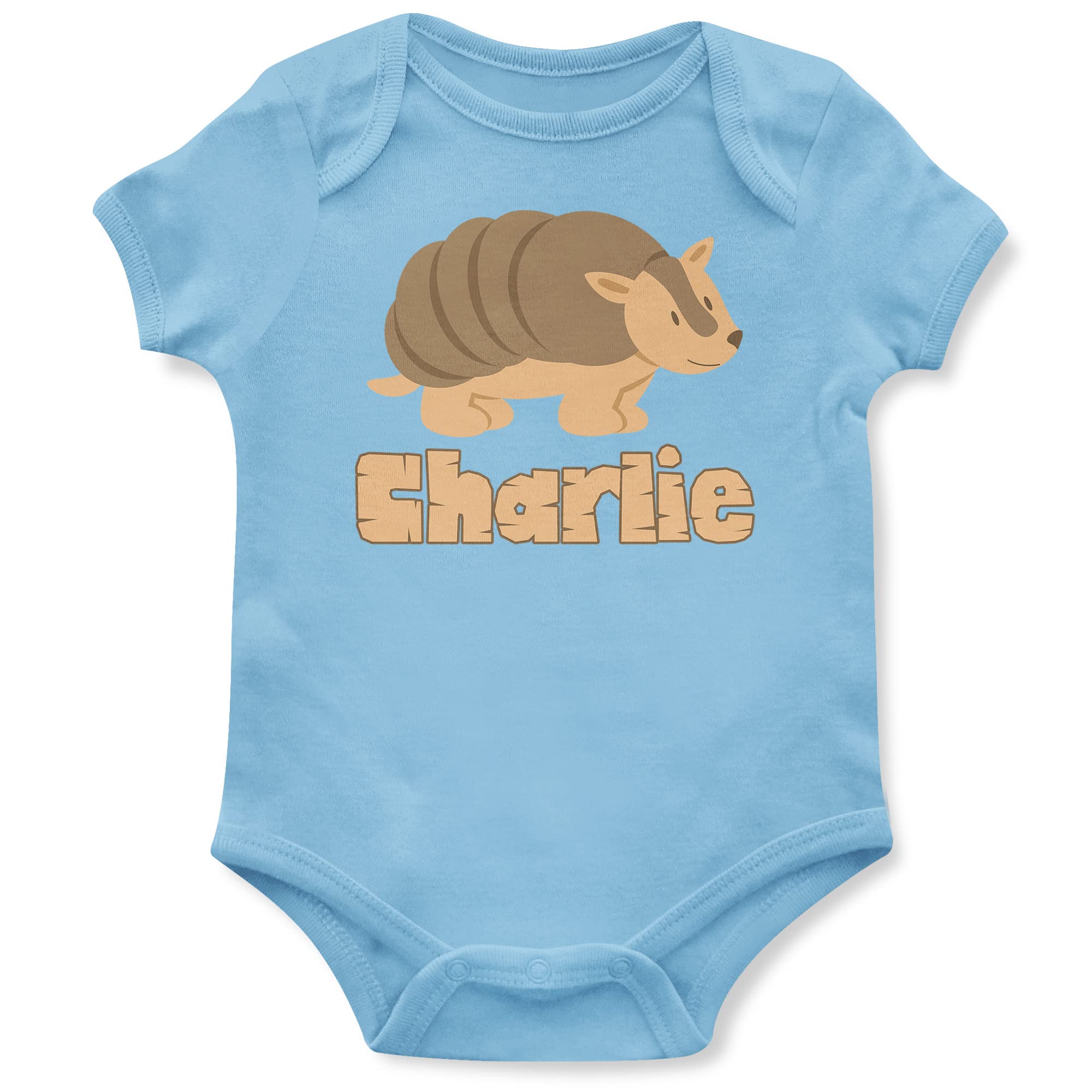 Personalised Cute Armadillo Baby Grow, Armadillo Gifts for Babies, Safari and Zoo Birthday for Baby Boy or Girl, 0-3 Months, Light Blue