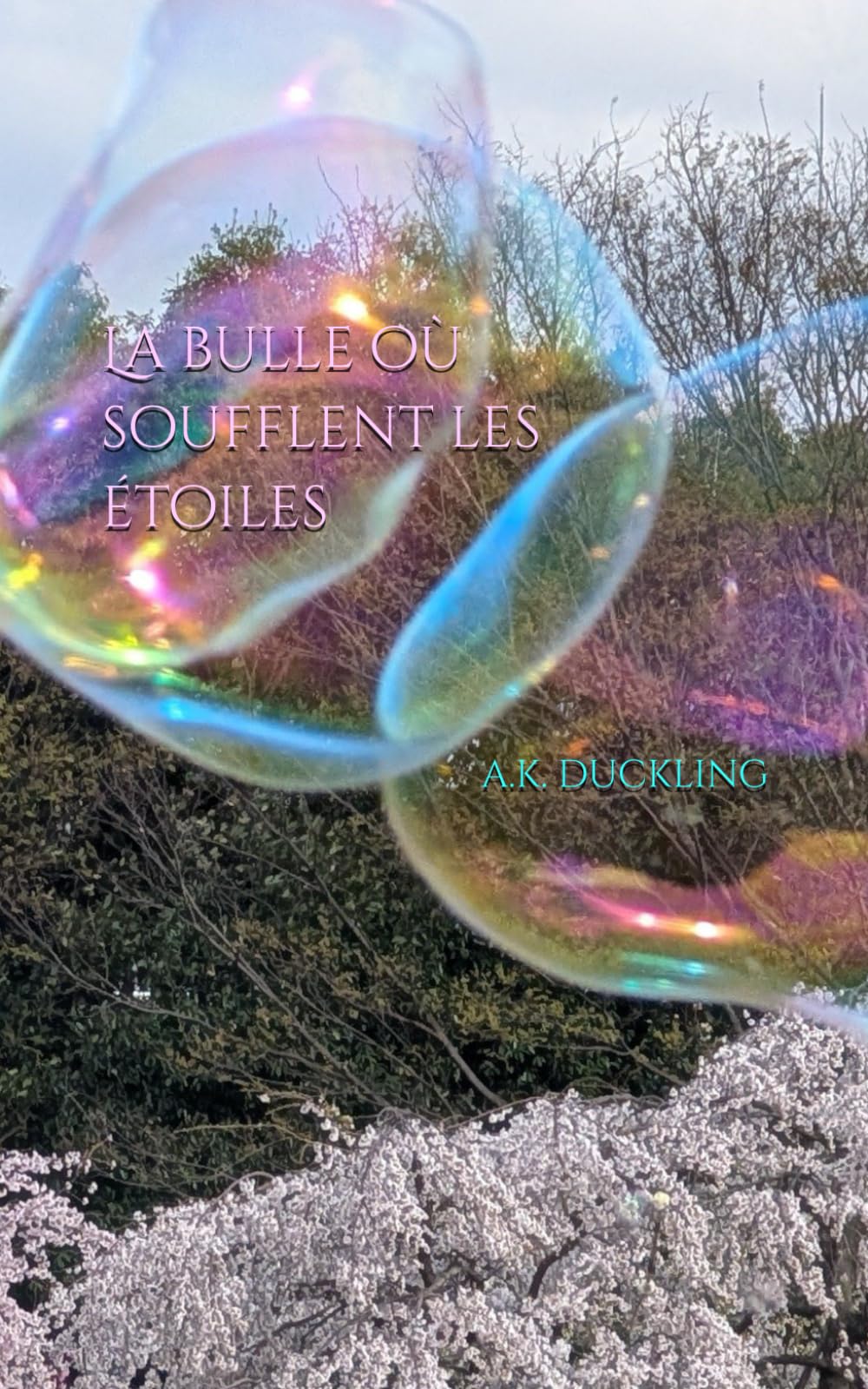 La bulle où soufflent les étoiles