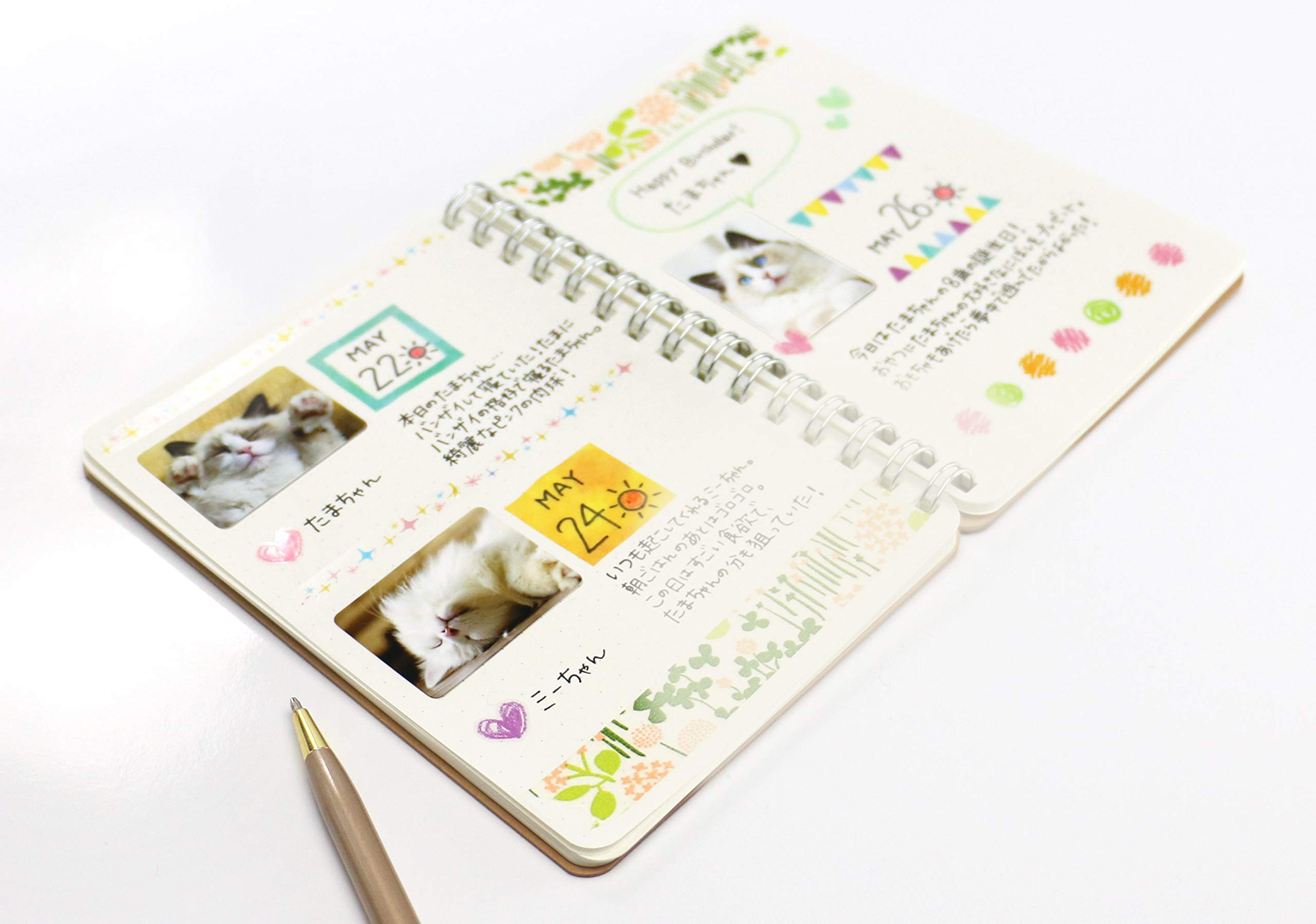 おまとめ2点 Amazon.co.jp: エーワン 写真シール フォト光沢フィルム(白無地) Large