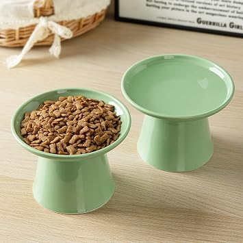 Ceramic Elevated Cat Food Bowls,6.2 Wide,2-Pack,Green
