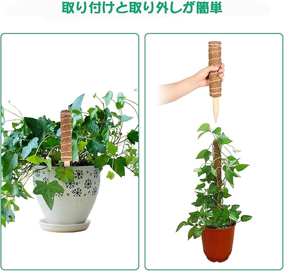 Amazon Co Jp Marsviex 植物支柱 園芸支柱 つる性植物 観葉植物 ココナッツ支柱 植物ラベル 植物ネクタイ 植物サポート フラワースタンド 花支え 支柱棚 農業用 園芸用 ガーデニング 維持水分 植物成長 高さ調整 園芸用ツール4種類セット Diy 工具 ガーデン