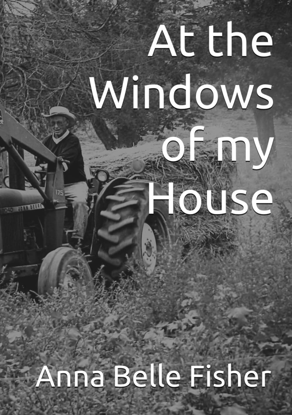 At the Windows of my House