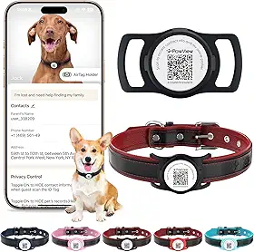 Coleira de Couro Legítimo para Cães com Capa Protetora de Silicone para AirTag, Plaquinha de Identificação, Rastreador Pet, Ajustável e Acolchoada, Cães de Pequeno Porte (Preto, M)