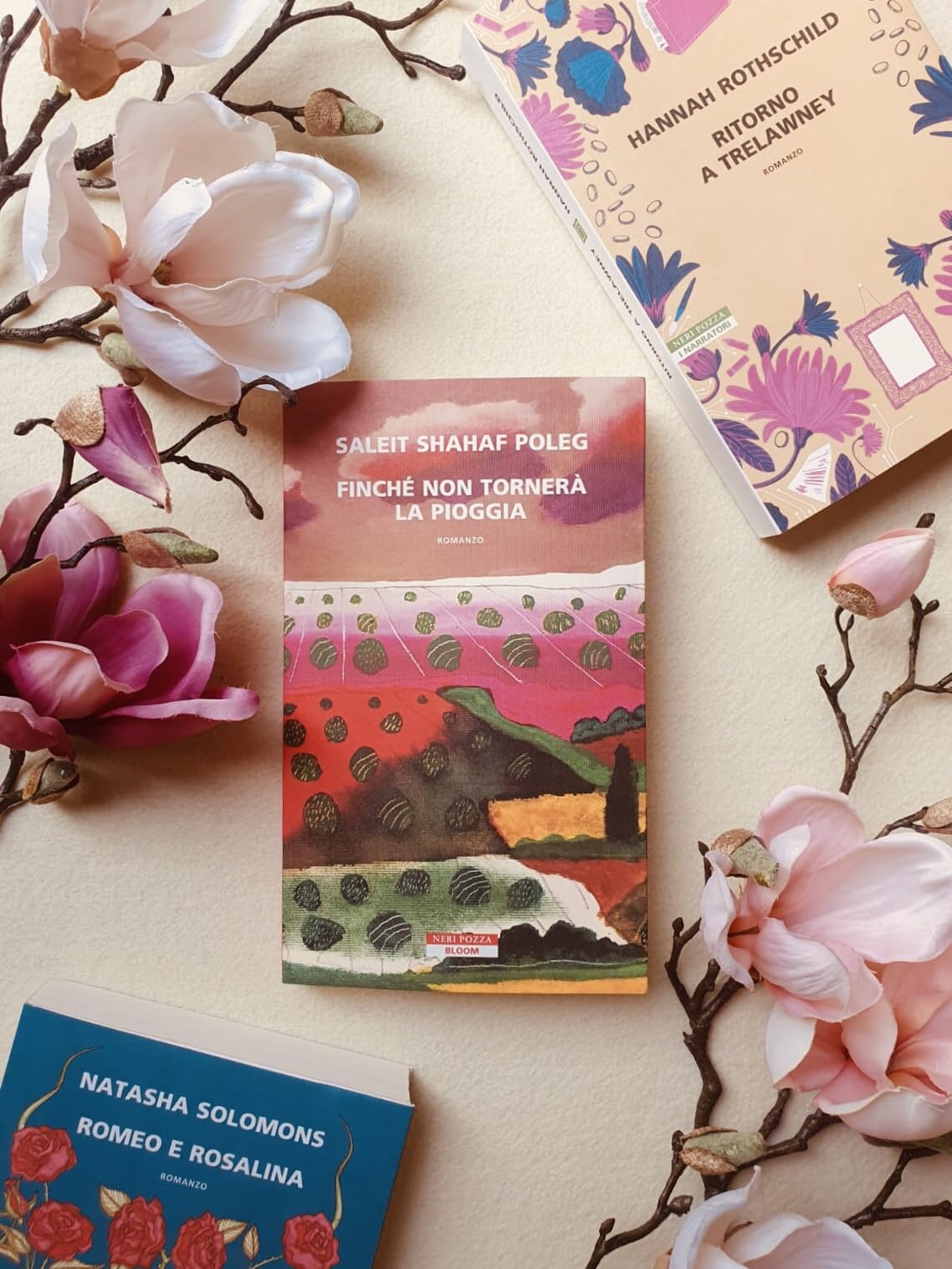 A cura del profilo @libros_libri_books (Instagram)