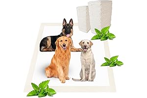 Boscute Dual Carpet-Block Puppy Pads for Odor Control
