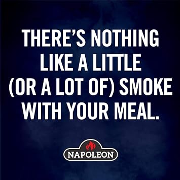Napoleon Cast Iron Reversible Griddle - Fits All TravelQ 285 Series Portable Grills, Non-Stick, Carry Handle