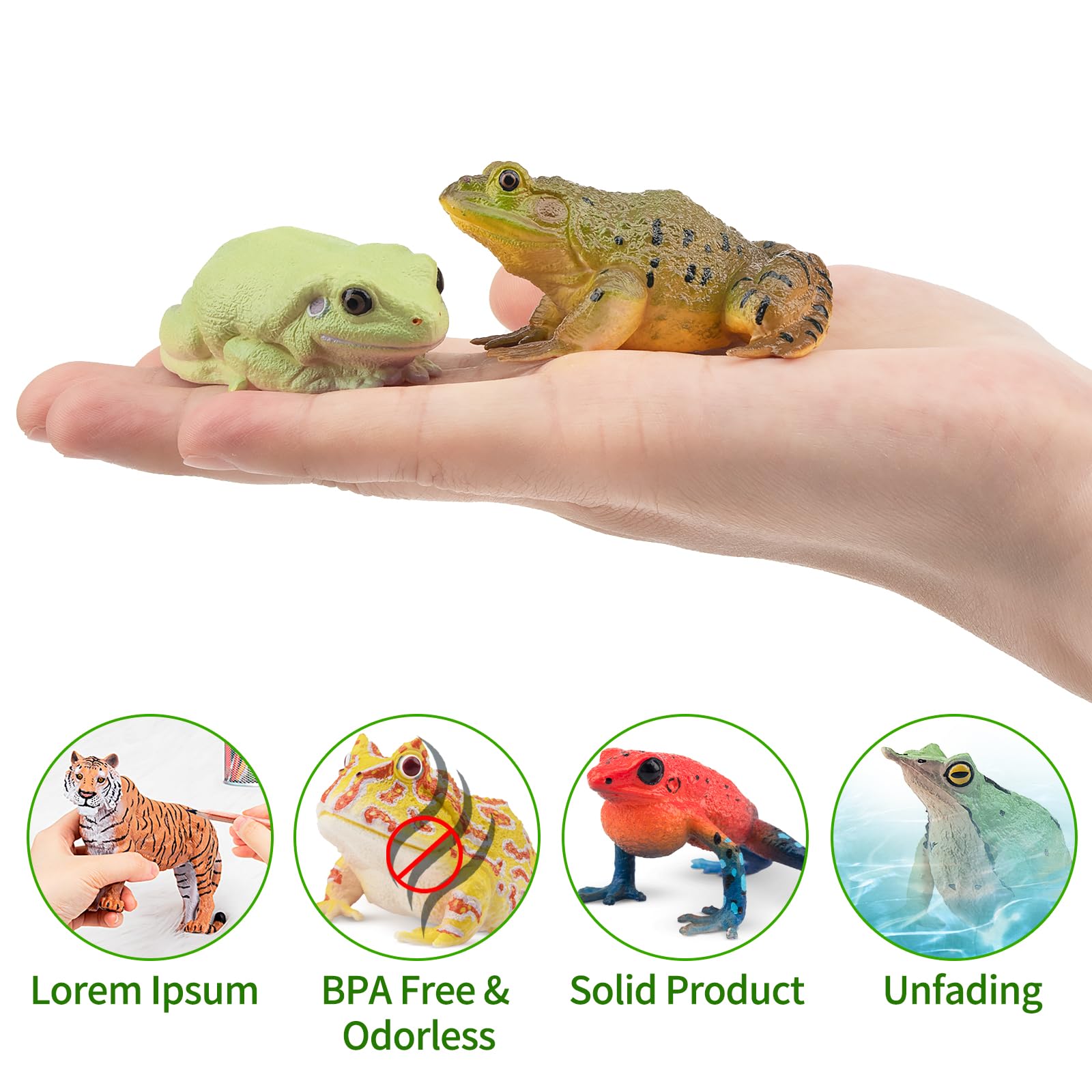 TOYMANY Pack of 12 Frog Animal Figures Frogs Toy Set Plastic