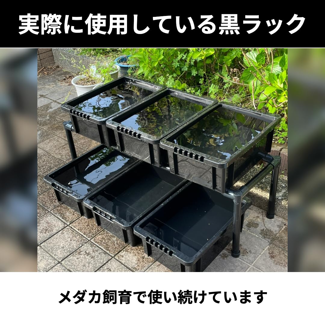 Amazon.co.jp: おひさまめだか メダカ飼育黒ラック 1段6個置き
