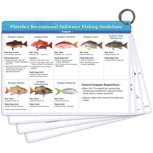 OCQOTAT Florida Saltwater Fish& Shark Identification Set–4 Double-Sided Waterproof Quick-Reference