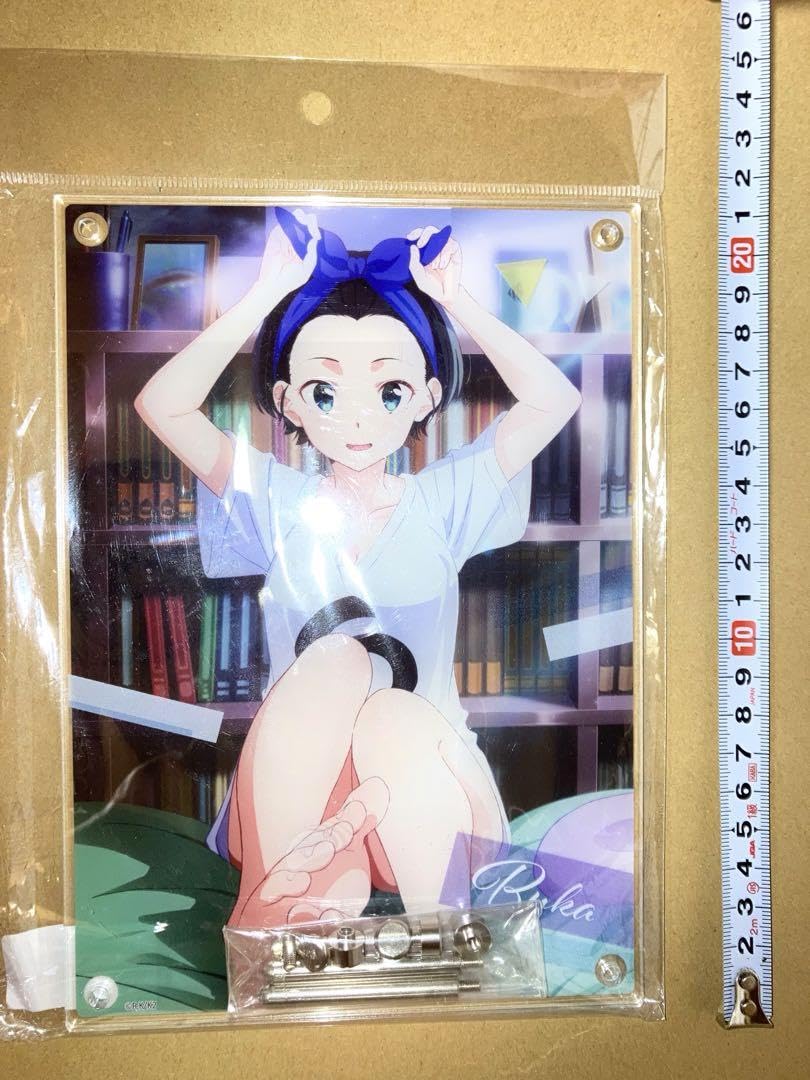 Amazon.co.jp: 更科瑠夏 アクリルボード 彼女、お借りします 部屋着 