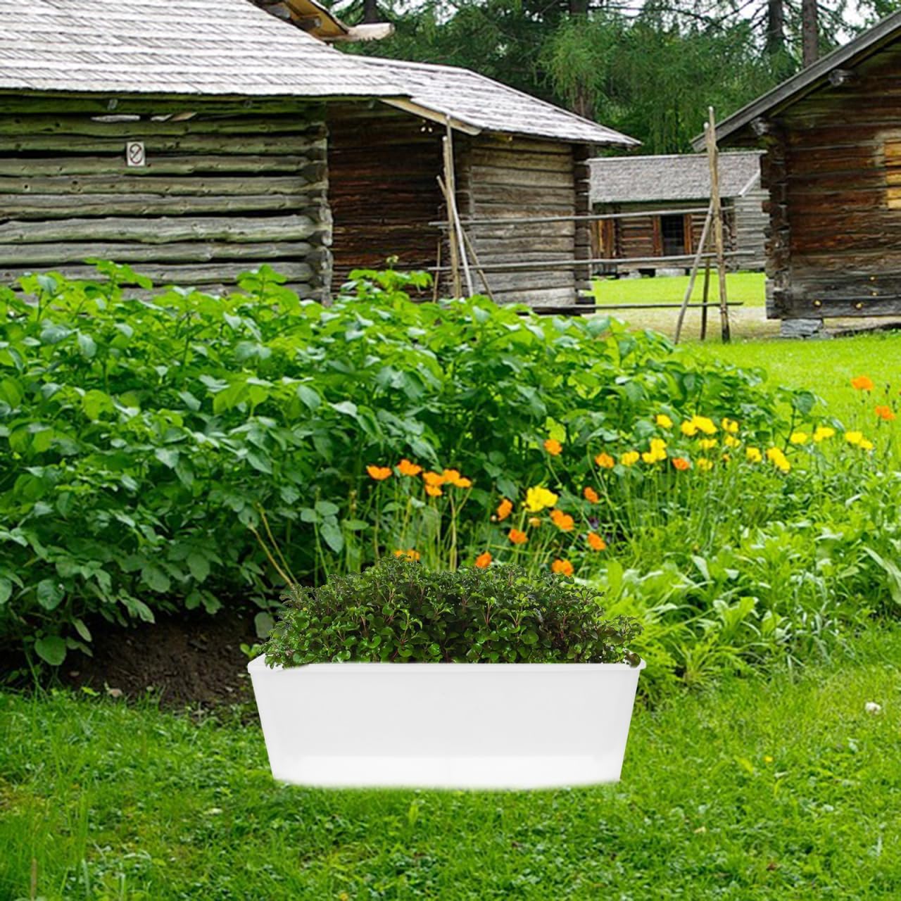 HANABASS Small Rectangular Self Watering Plant Pots, Herb Garden Planter, Vegetable Planters Window Box for Windowsill Patio Garden Balcony Porch Yard, 17.0X 5.9X 4.5Inches