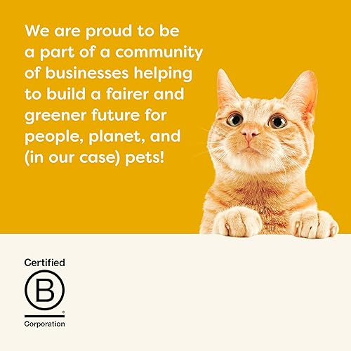 Miniatura 6 de Applaws Wet Cat Food, 12 unidades, alimento húmedo enlatado con ingredientes limitados, para recuento de pollo en caldo, latas de 2.47 onzas