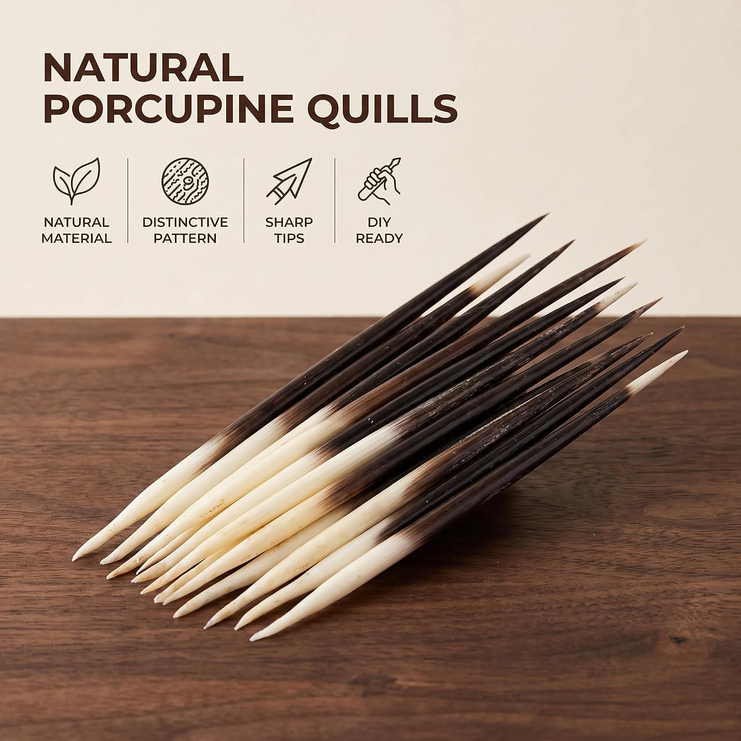Jinshining 10Pcs Porcupine Quills Hair Stick Indian Crafts Accessories Fishing Buoy DIY Sewing Project Kits Arts