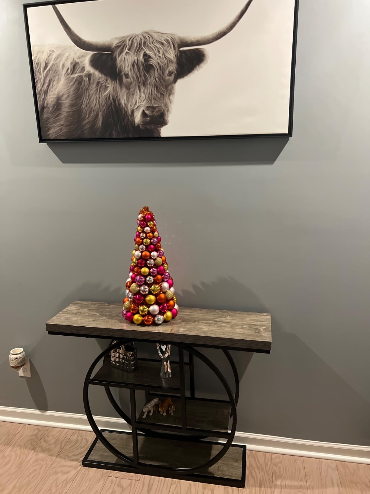 Customer photo