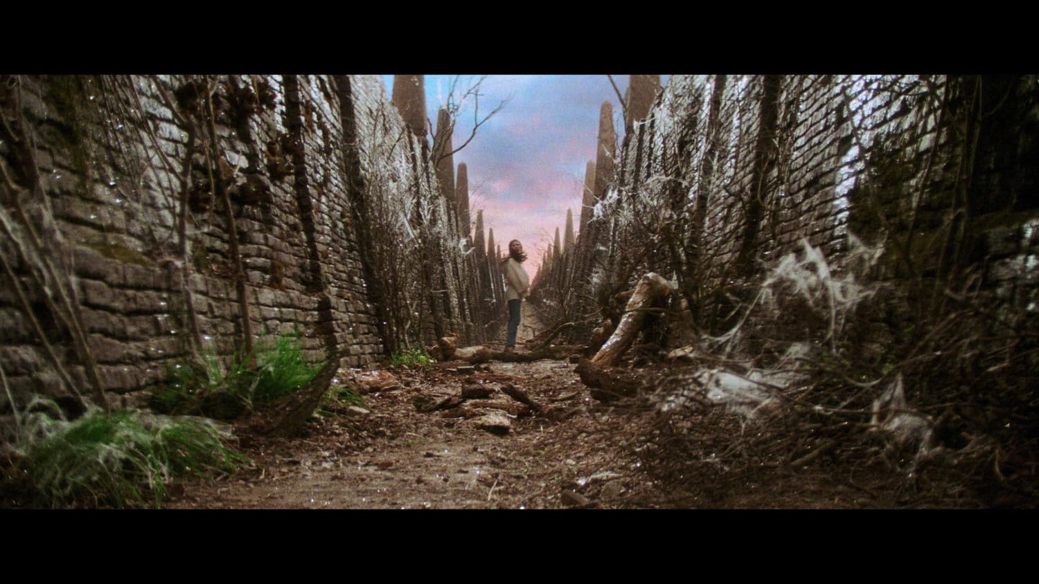Die Reise ins Labyrinth Steelbook 4K-UHD 2 Blu-rays