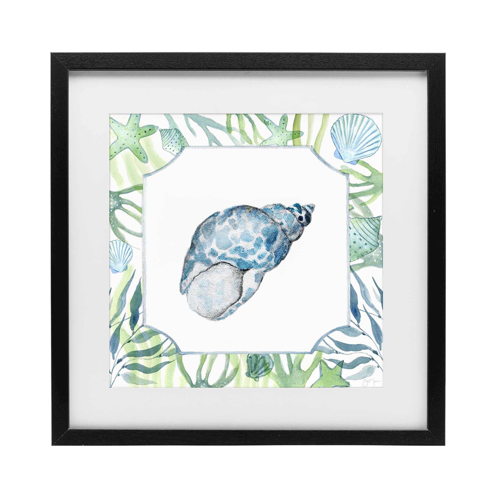 Stupell Industries Midnight Black (Textured) 'Spotted Cowrie With Seaweed'| Framed Print Under Glass