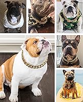 Vista 6 de Collar de perro de cadena dorada – Collar de perro de eslabones cubanos de metal de 7/8 pulgadas de ancho con cinturón de cuero, ligero protege