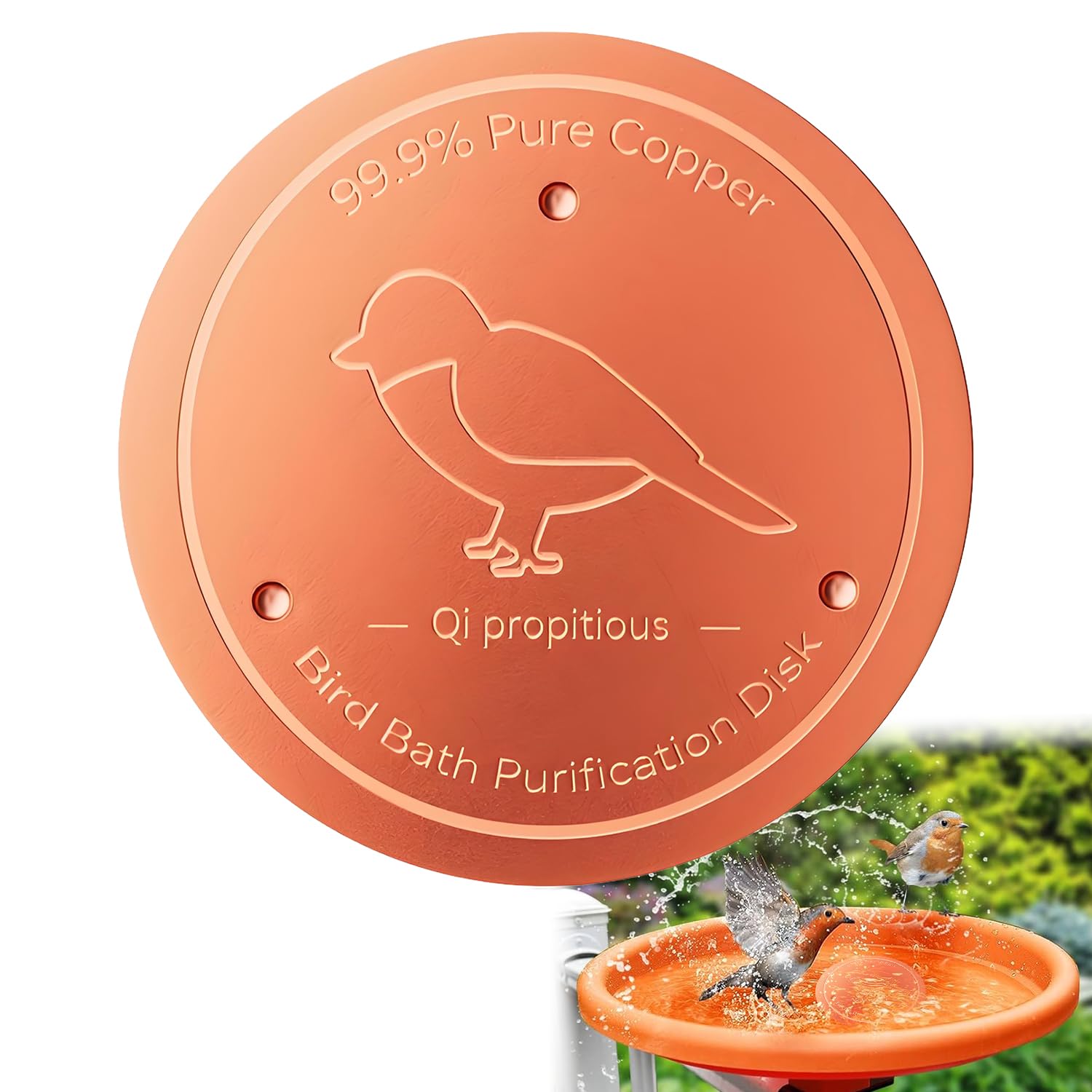 FIGCY 99.99% Pure Copper Disc for Bird Bath Cleaning, Purification Copper Disk Keeps Birdbath Water Fresh, for Outdoor Bird Baths, Bowls, Fountains — image 1