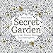 Secret Garden: An Inky Treasure Hunt and Coloring Book for Adults