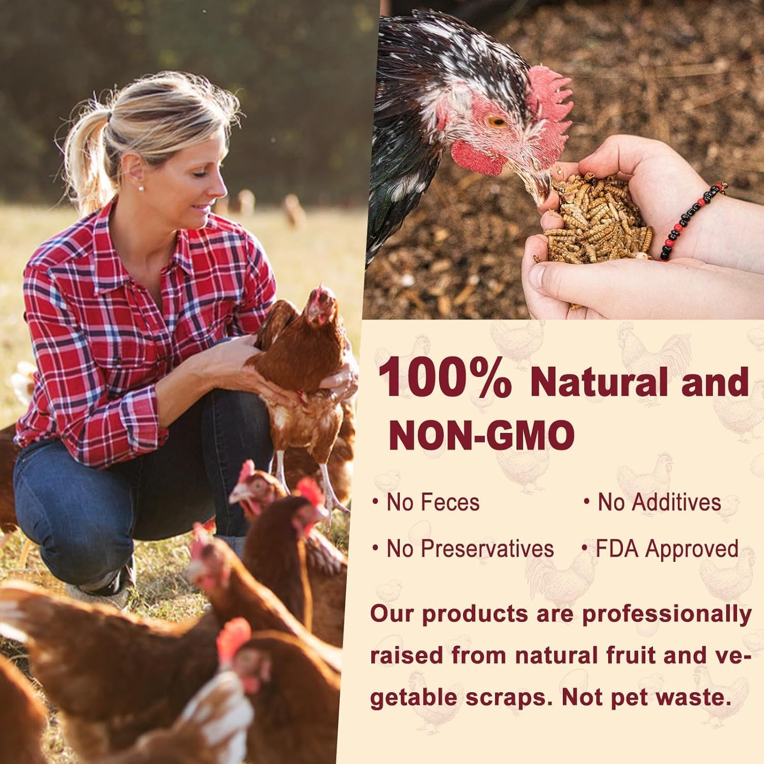 10LB Dried Black Soldier Fly Larvae for Chickens, Non GMO 86X More Calcium BSF Larvae Than Mealworms for Chickens & Birds, Natural Chicken Feed Bulk, Chicken Worms Treats, Wild Birdseed Attractant