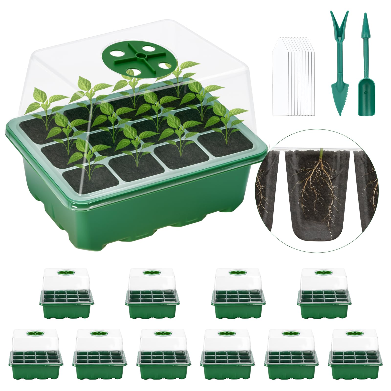 Lychee Seedling trays, pack of 10, 120 cells, for growing seedlings in greenhouses and gardens, featuring a raised lid and rotatable ventilation holes (Green,10Pec)