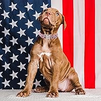 Vista 230 de Unique Style Paws - Collar rosa con hebilla de metal, duradero y lindo para perros pequeños a grandes