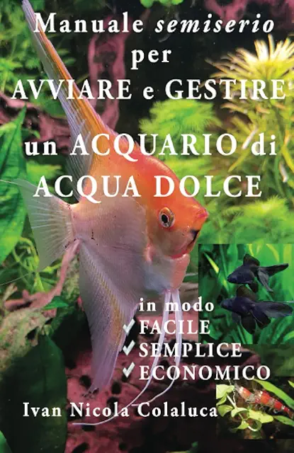 Manuale per Avviare e Gestire un Acquario di Pesci: Facile, Economico