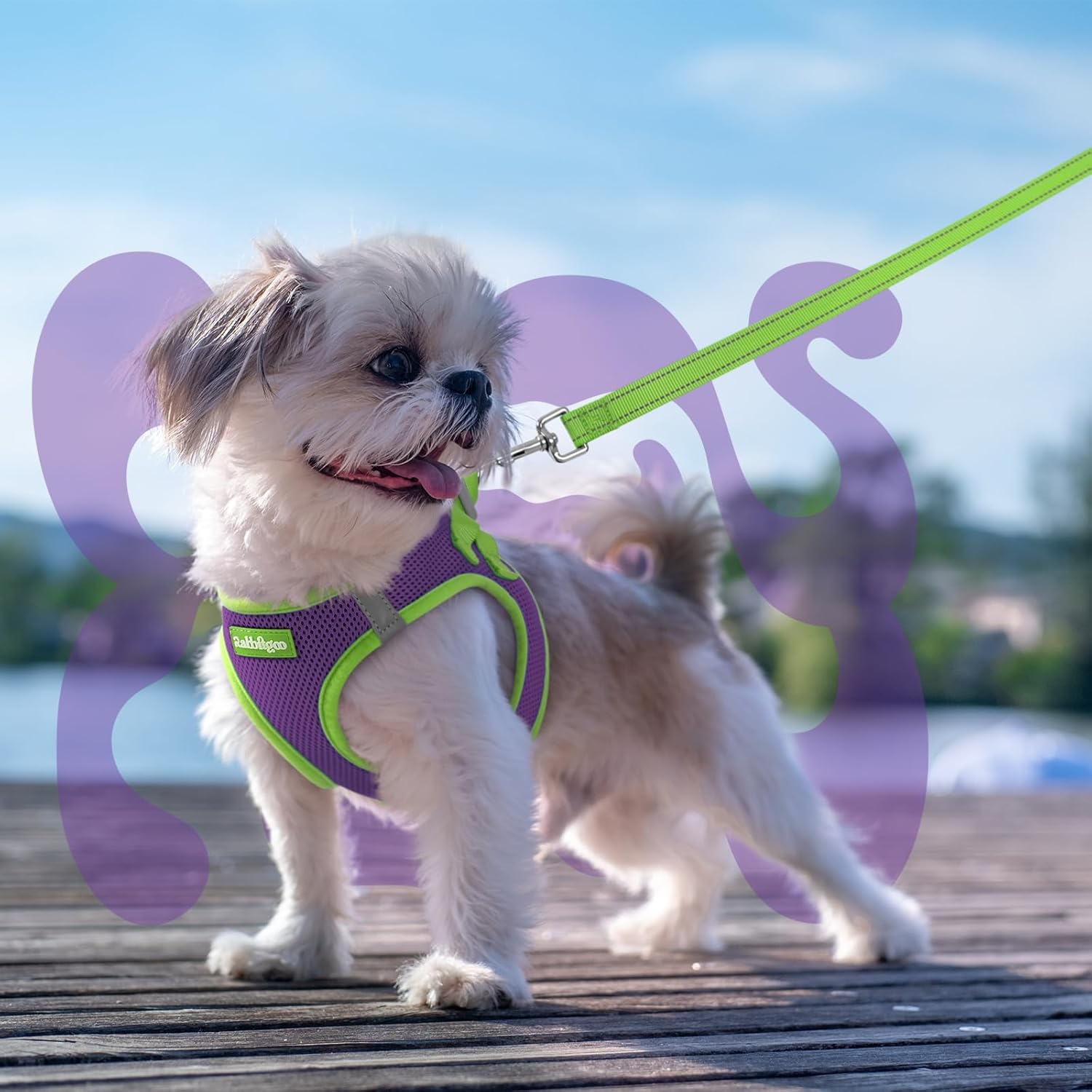 rabbitgoo Dog Harness Small Sized and Leash Set, Step-in Breathable Pet Harness, Soft Walking Reflective Puppy Vest for Small Dogs, Purple & Green, XXS