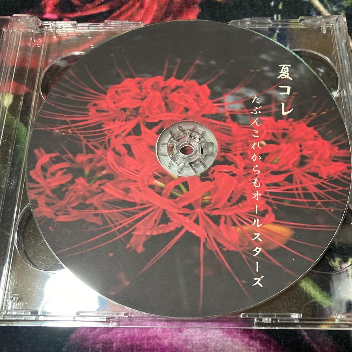 たぶこれオールスターズ■たぶコレ！？／限定CD　■エルニシオン　他 Amazon.co.jp: たぶこれオールスターズたぶコレ？／限定CD