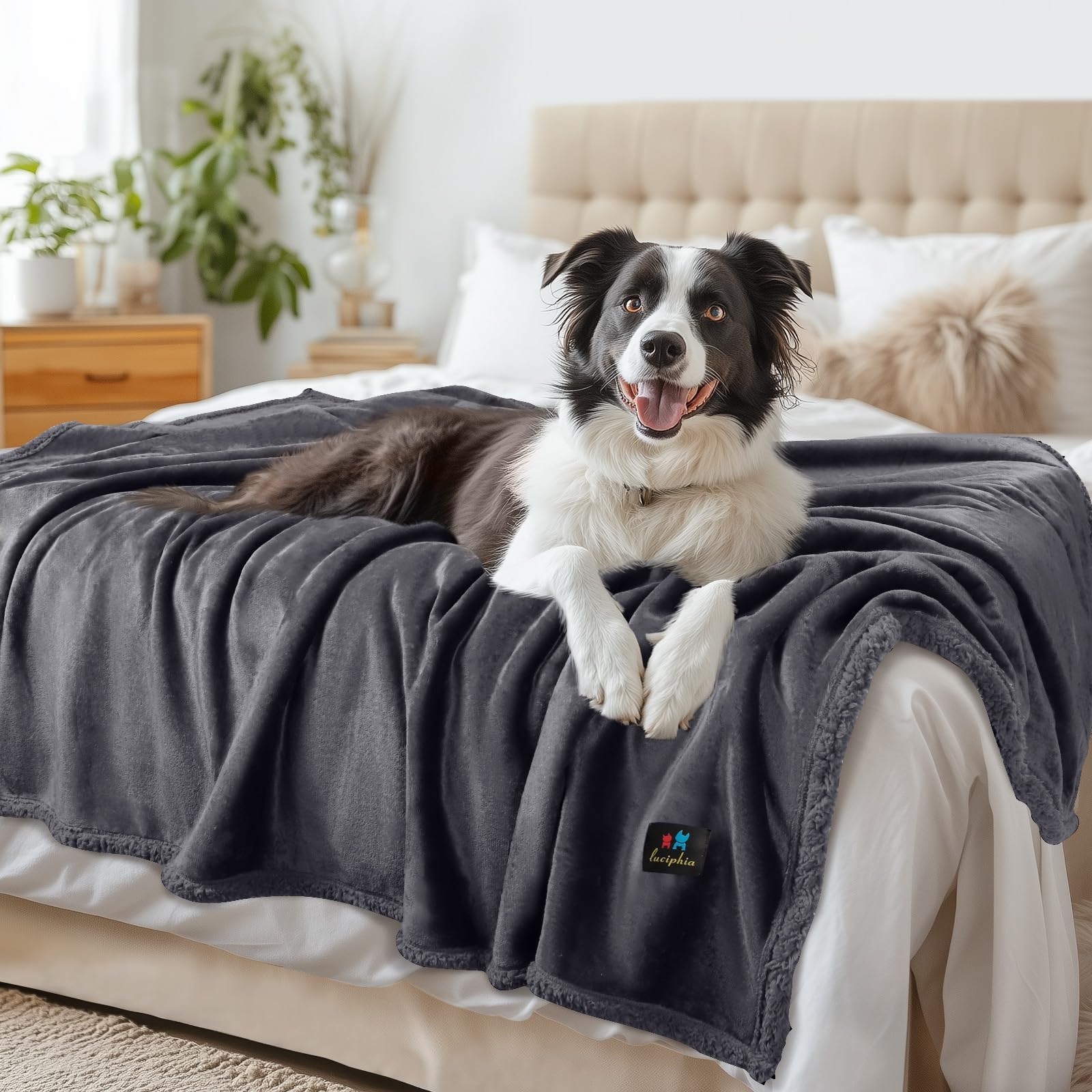 Yaning Waterproof Pet Blanket 80x90 Inches - Reversible, Leakproof For Bed, Couch, Car (Navy/Light Grey)