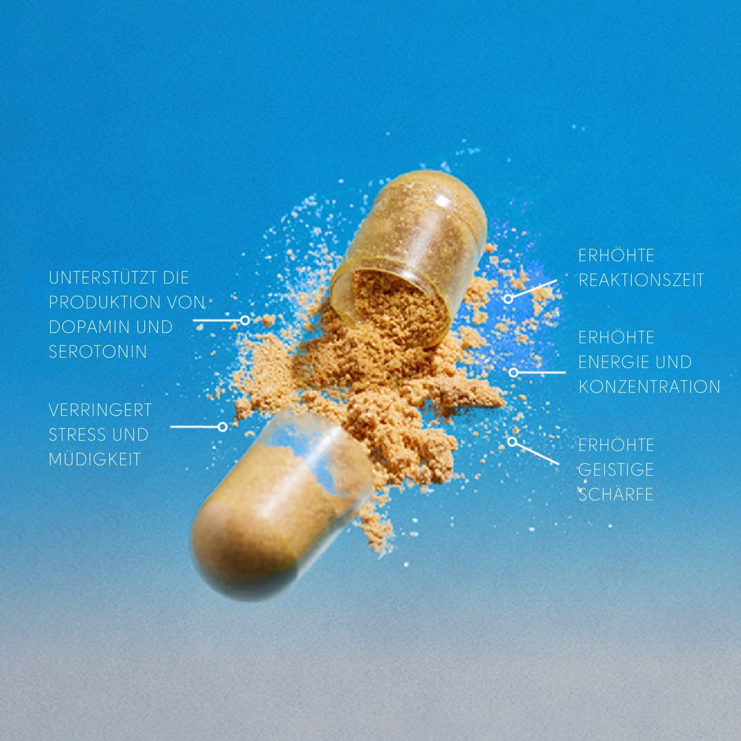 ROOT Wellness Zero-In von Dr. Rahm – Hochwertige Kombination aus Kurkuma und Kiefernrindenextrakt – 60 Kapseln | Kapseln mit Kurkuma, Kiefernrindenextrakt und Vitamin D3 – ideal für die tägliche Ergänzung Ihrer Ernährung.