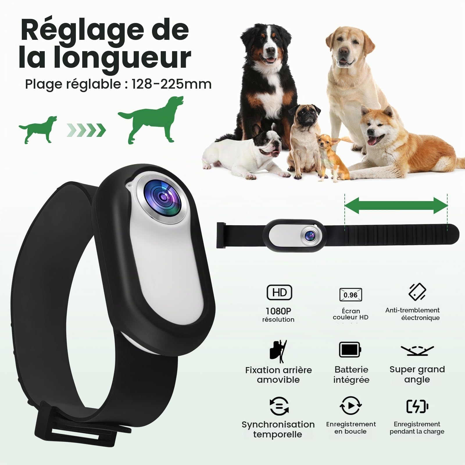 Mini caméra d'action HD 1080P 170° grand angle 32 Go pour chat sport