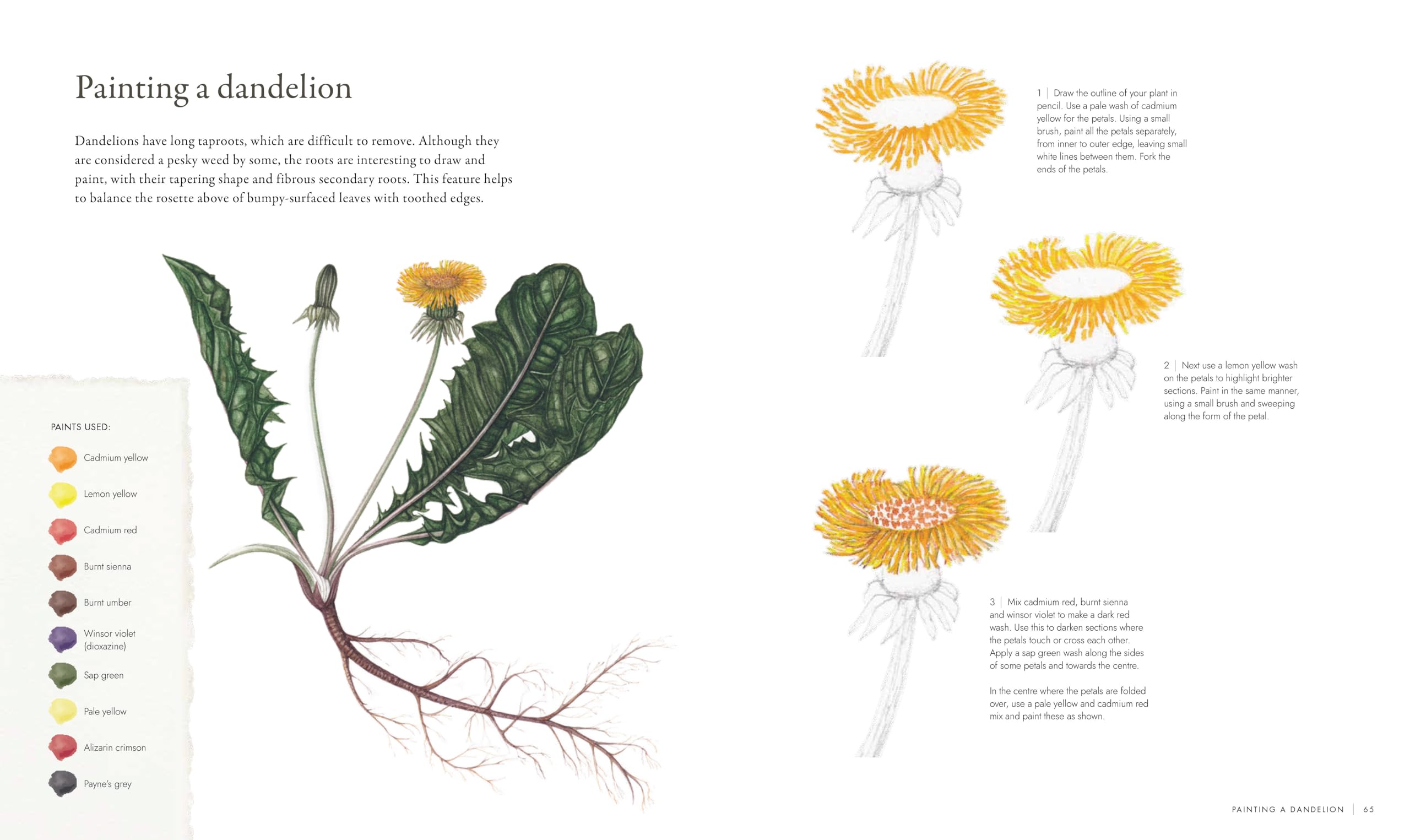 RHS Watercolour Botanical Art: A Practical Guide for Artists