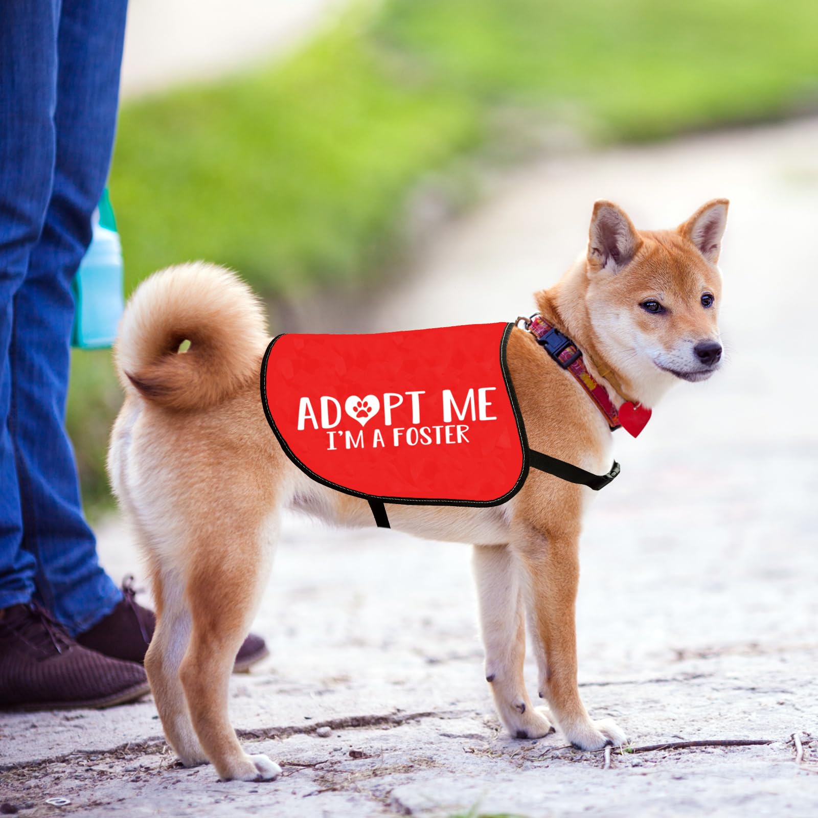 Foster Mom Shiba Inu Dog Rescue Adopt Me Bandanas For Dogs Adopt