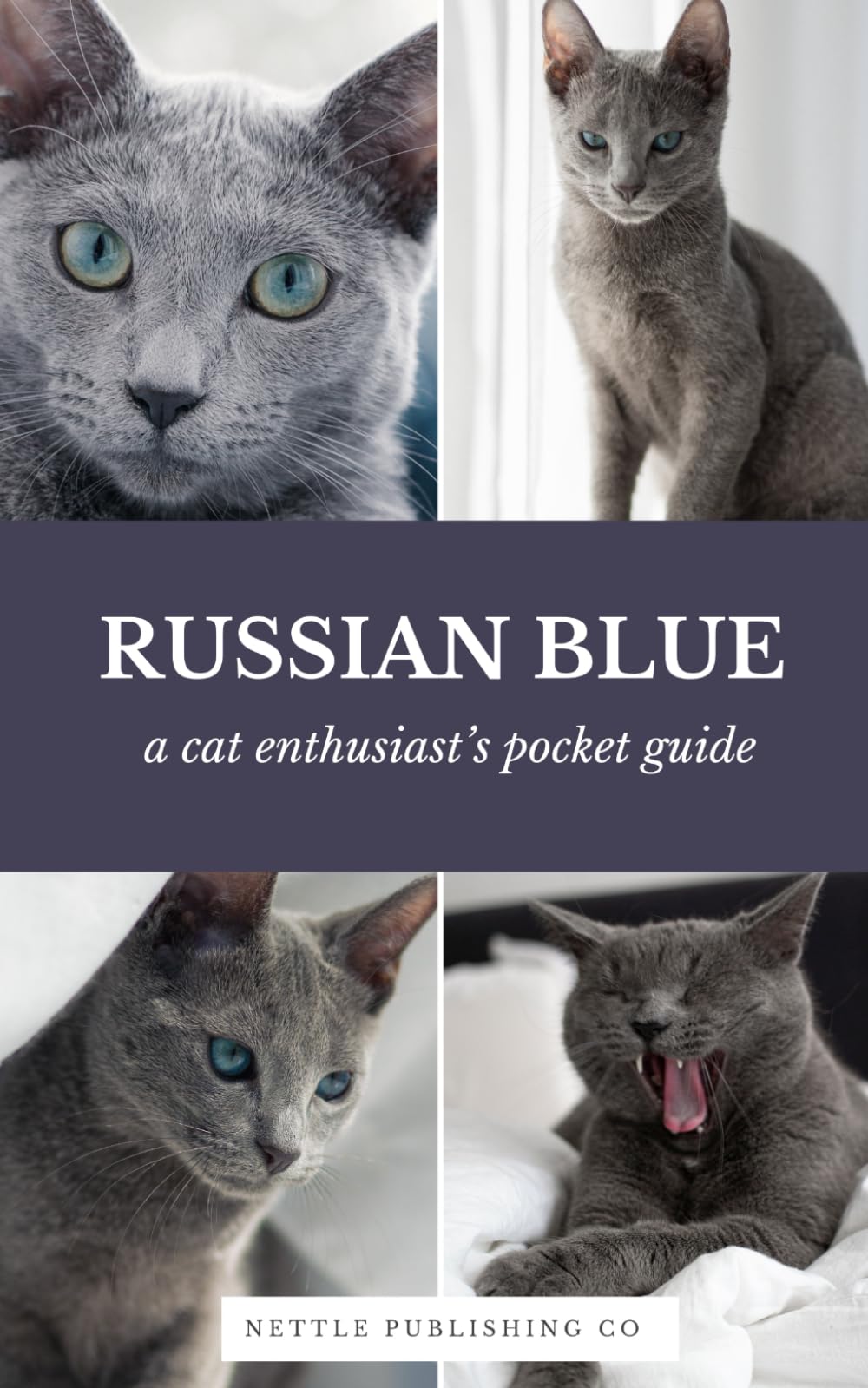 Russian Blue Cats | A Complete Pocket Guide Book: Breed-Specific Care Handbook With Pet Passport with Records Logbook (Cat Breeds by Nettle Publishing Co)