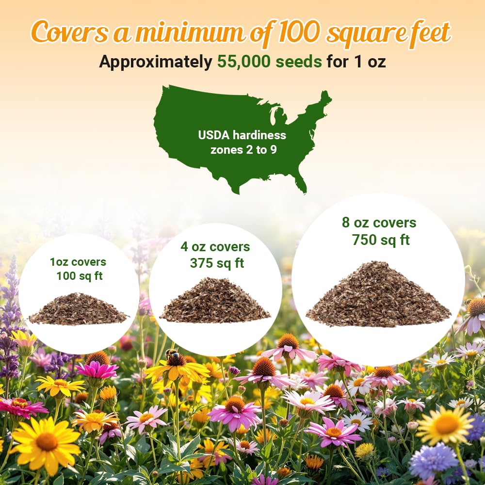 Amazon.com : Drought Resistant Wildflower Seeds - 1oz, Open-Pollinated Bulk Flower  Seed Mix for Beautiful Perennial, Annual Garden Flowers - No Fillers - 1 oz  Packet : Patio, Lawn & Garden