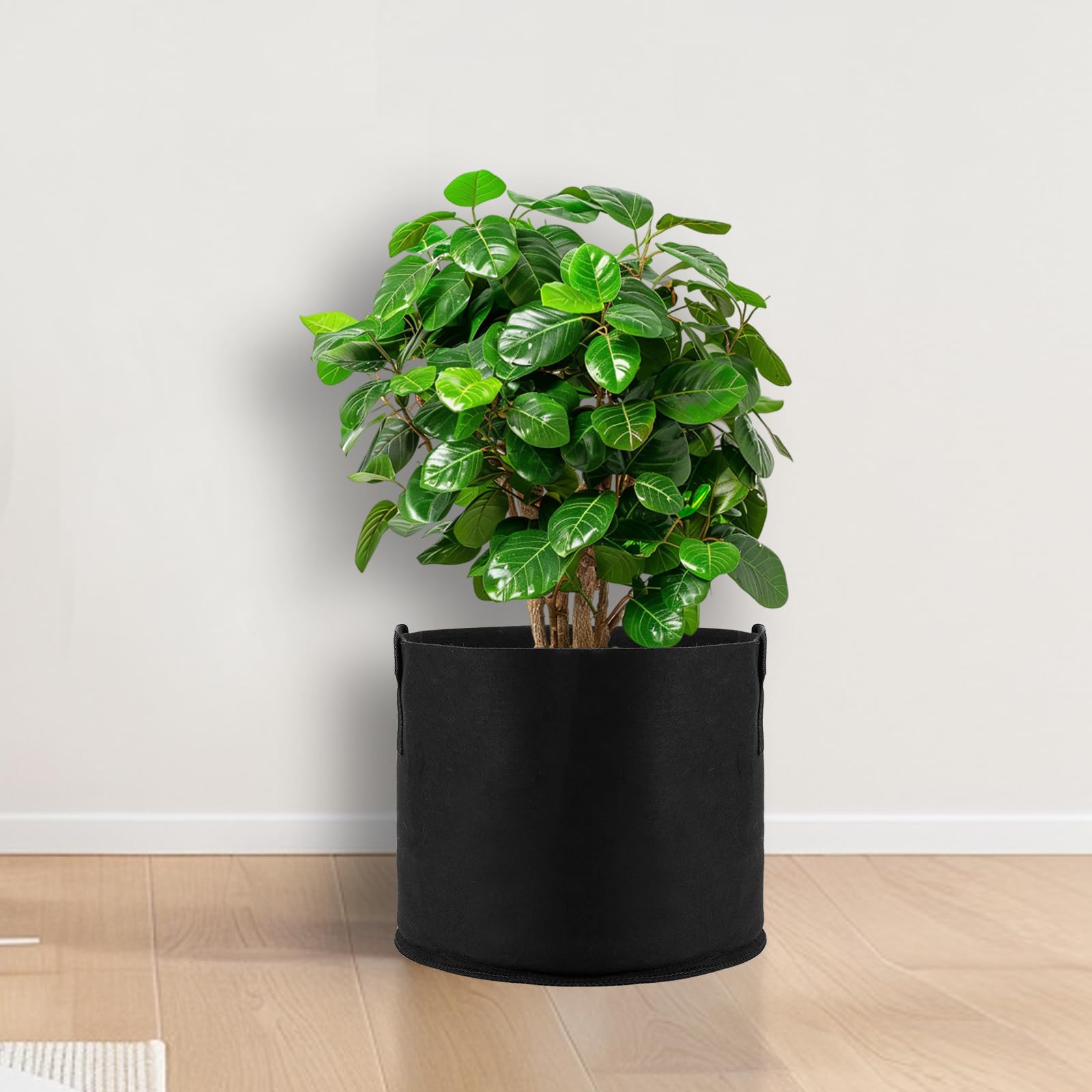 10 unidades de 20 L de tela no tejida, Macetas Grandes Jardineras de tela negra con asa, bolsas para plantas y plantas