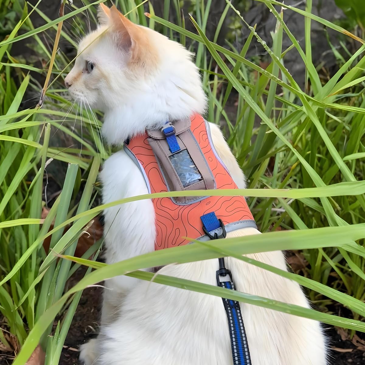 TRAVEL CAT The Pathfinder - Pettorina per gatti con tasca per localizzatore GPS, alimentata da Tractive, a prova di fuga, per gatti piccoli e grandi, gattini (arancione, L)