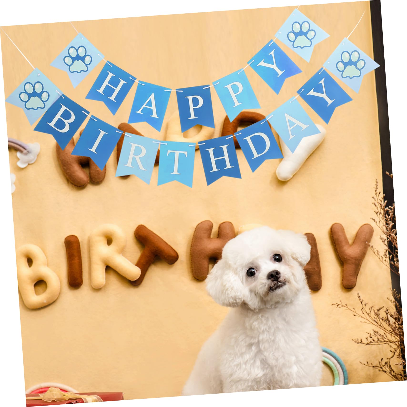 Feste di Compleanno per Cani: Un'Esperienza Indimenticabile di Diverti
