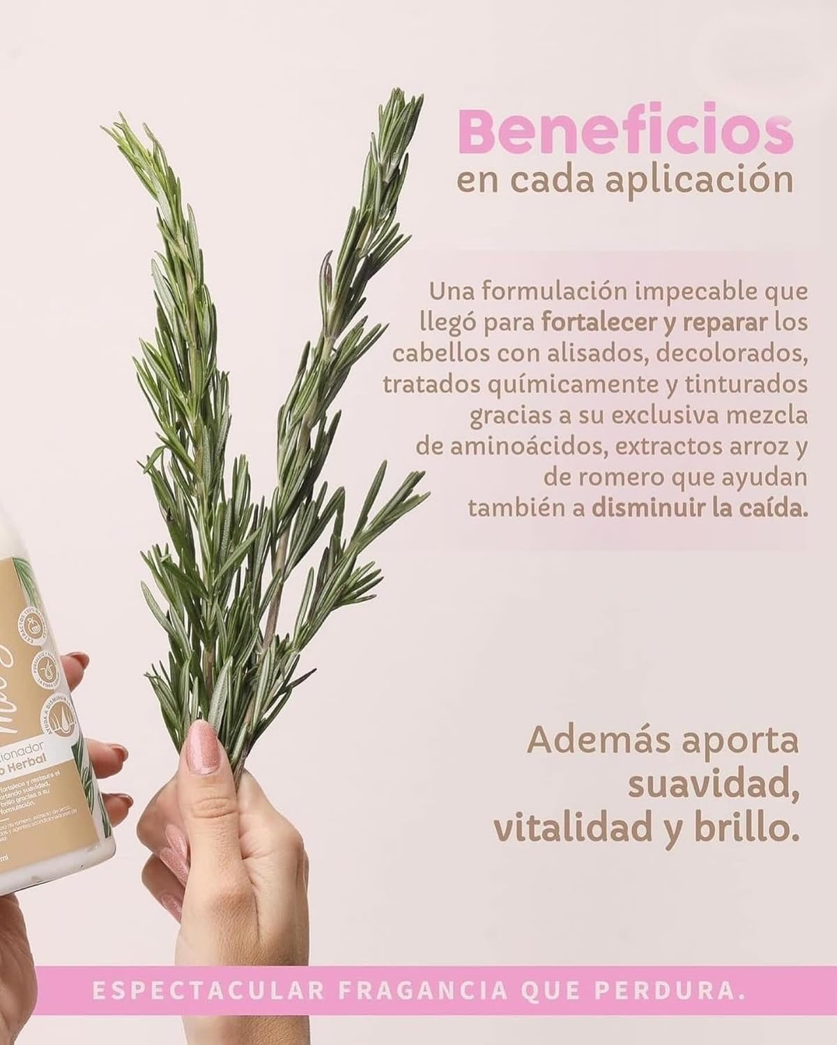 Milagros Acondicionador Herbal | Disminuye la Caida Del Cabello y Aporta Suavidad y Brillo, Beige - Image 3