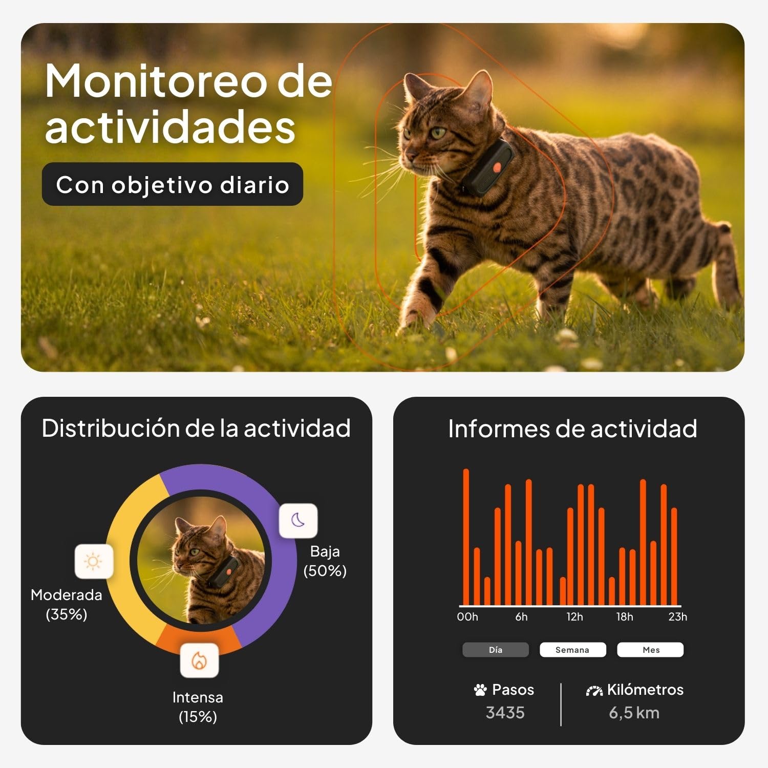 Weenect Cat XS - Nuevo GPS para Gatos | Mini rastreador GPS en Tiempo Real | El más pequeño del Mercado | Suscripción | Collar Incluido | Garantía de por Vida